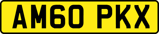 AM60PKX