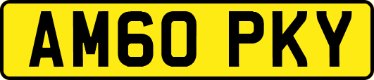 AM60PKY