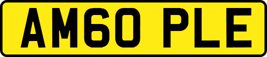 AM60PLE