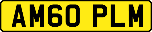 AM60PLM