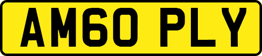 AM60PLY