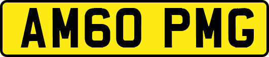AM60PMG