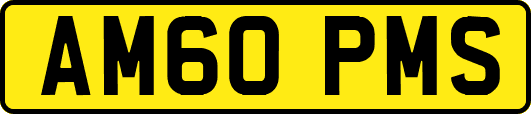 AM60PMS
