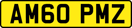 AM60PMZ
