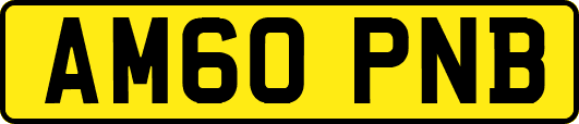 AM60PNB