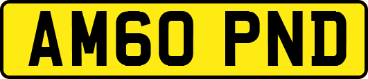 AM60PND