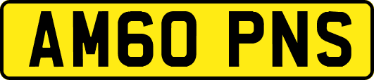 AM60PNS