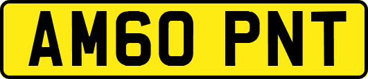 AM60PNT