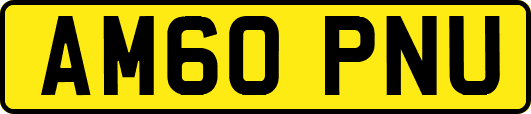 AM60PNU