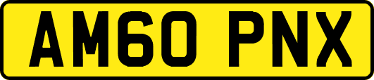 AM60PNX