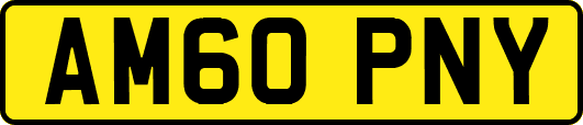 AM60PNY