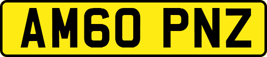 AM60PNZ