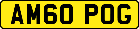 AM60POG