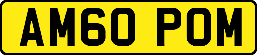 AM60POM