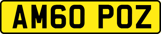 AM60POZ