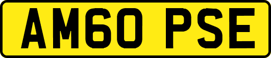 AM60PSE