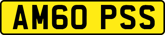 AM60PSS