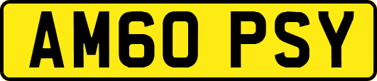 AM60PSY