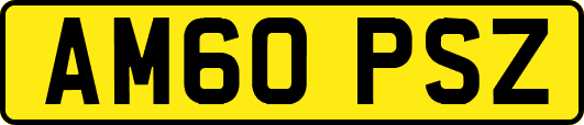AM60PSZ