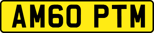 AM60PTM