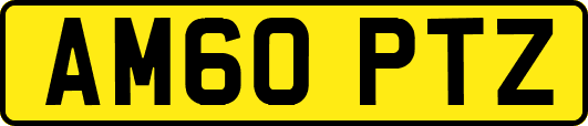 AM60PTZ