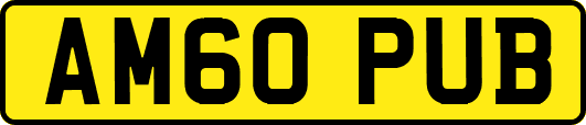 AM60PUB