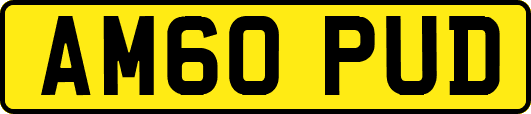 AM60PUD