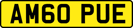 AM60PUE