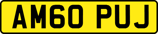 AM60PUJ