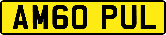 AM60PUL