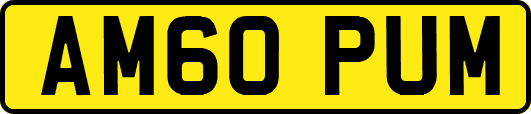 AM60PUM