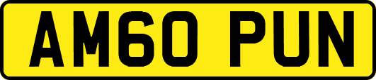 AM60PUN