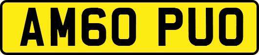 AM60PUO