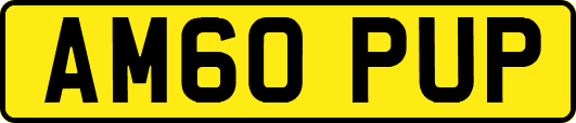 AM60PUP