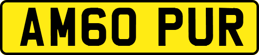 AM60PUR