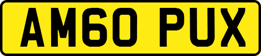 AM60PUX