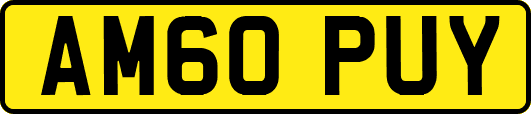 AM60PUY