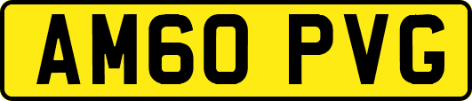 AM60PVG