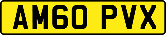 AM60PVX