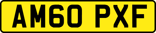 AM60PXF