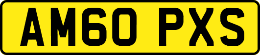 AM60PXS