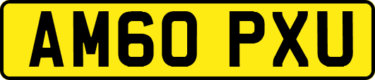 AM60PXU