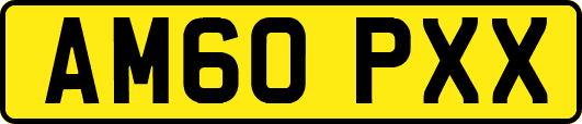 AM60PXX