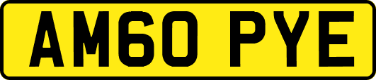 AM60PYE