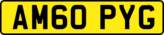 AM60PYG