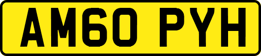 AM60PYH