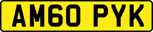 AM60PYK