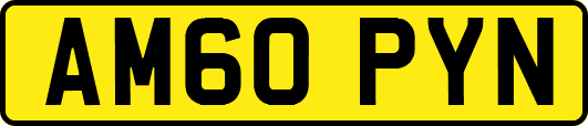 AM60PYN
