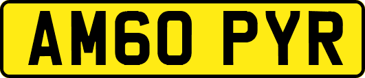 AM60PYR
