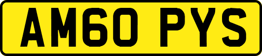 AM60PYS